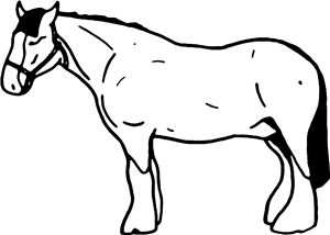 Shire Horse