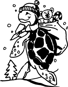 Christmas Present Turtle