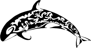 Orca Whale