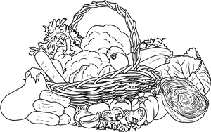 Vegetable Basket