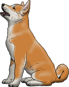Begging Akita Puppy