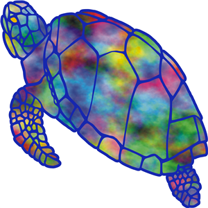 Multicoloured Turtle