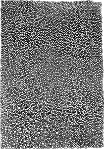 Cobbled Texture