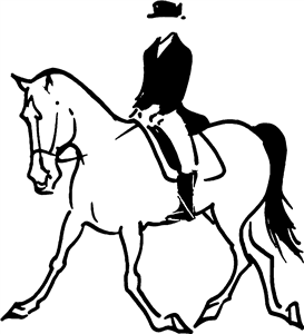 Horse Rider