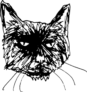 Grumpy Cat