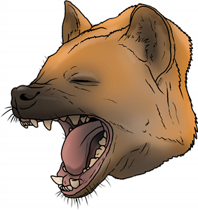 Hyena Laughing