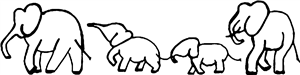 Elephant Family