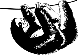 Friendly Sloth