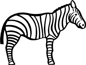 Zebra