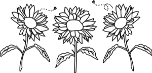 Sunflowers & Bees