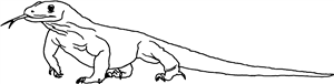 Komodo Dragon