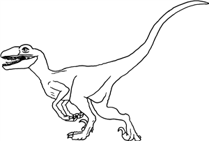 Velociraptor