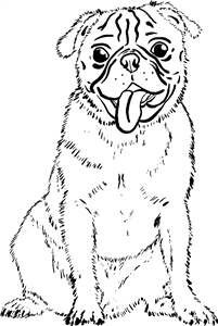 Cheerful Pug
