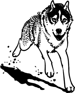 Running Husky