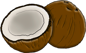 Halved Coconut