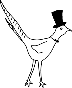 Well dressed pheasant 