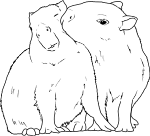 Kissing Capybara