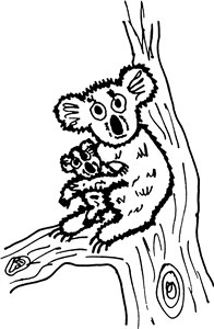 Koala & Joey In Tree