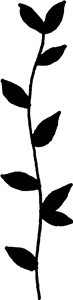 Silhouetted Leafy Vine
