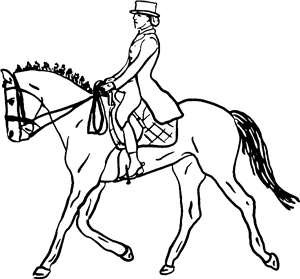 Dressage Horse & Rider