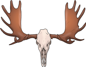 Moose Skull