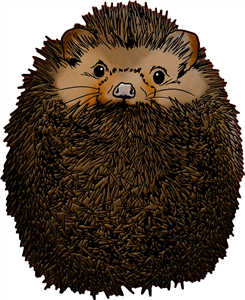 Curled up Hedgehog