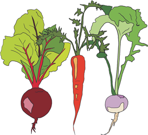 Root vegetables 