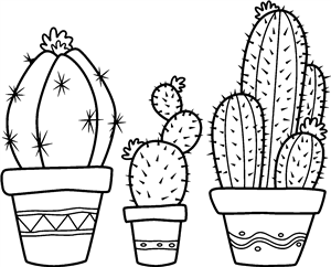 Potted Cacti