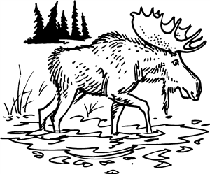 Walking Moose