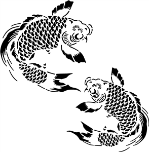 Japanese Koi Carp