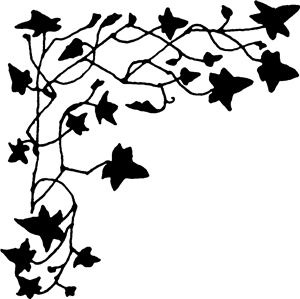 Ivy Corner
