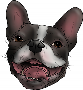 French Bulldog Head
