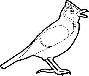 Skylark