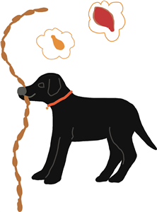 Labrador stealing and dreaming of meat