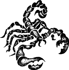 Scorpio Scorpion