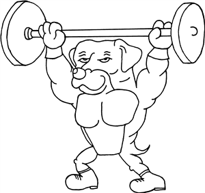 Weightlifting Dog