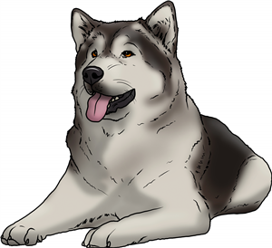 Alaskan Malamute