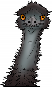 Emu Face