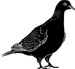 Wood Pigeon Silhouette