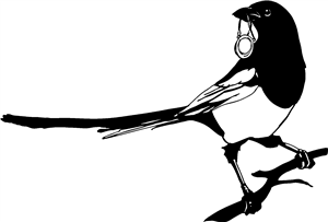 Magpie With Ring