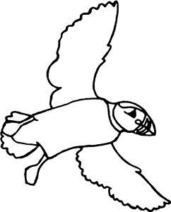 Flying Puffin