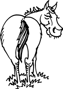 Horse Rear