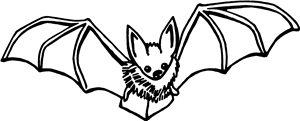Flying Bat