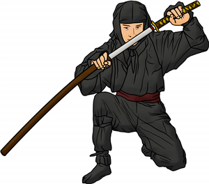 Ninja