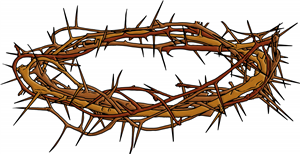 Crown Of Thorns