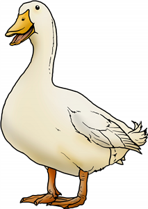 Happy Duck
