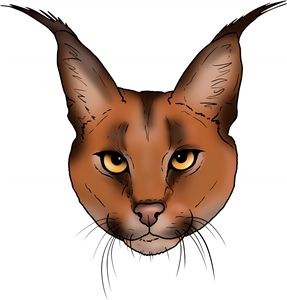 Caracal