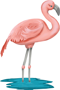 Flamingo