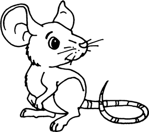 Mouse