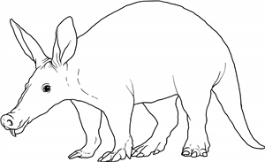 Aardvark